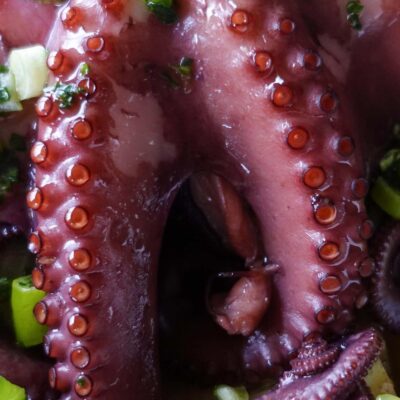 Ready baked octopus served with potatoes