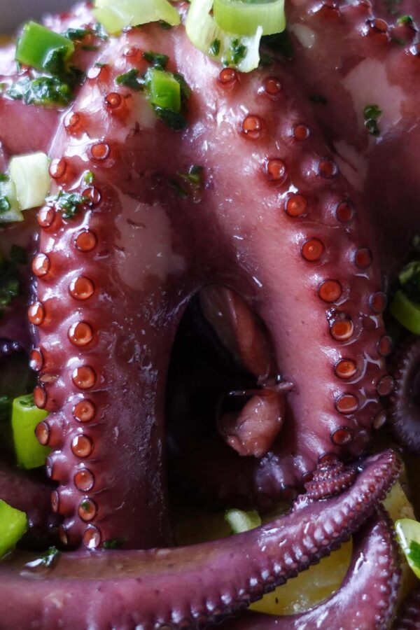 Ready baked octopus served with potatoes