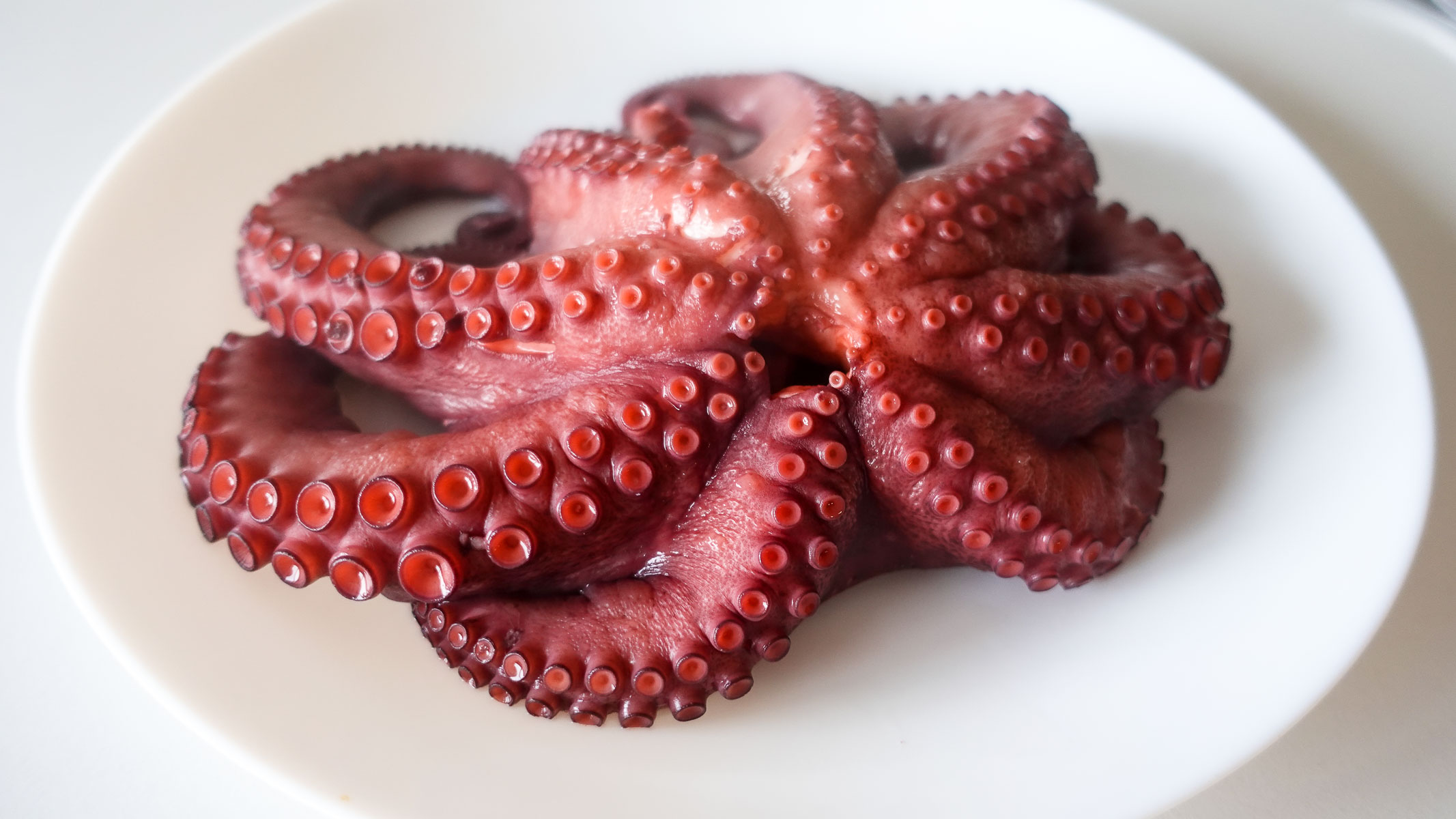 Boiled Octopus on a white plate