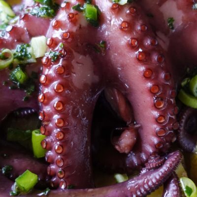 Octopus in Port Wine