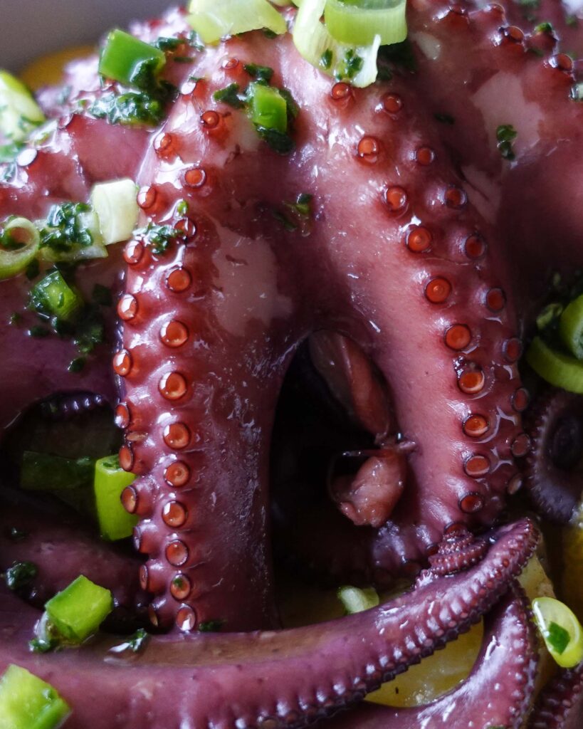 Octopus in Port Wine