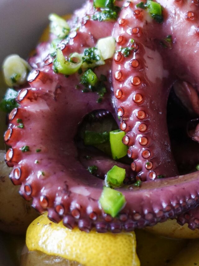 How to Make Octopus In Port Wine