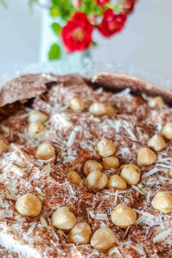 Mouthwatering Chocolate Hazelnut Pavlova on a beautiful plate