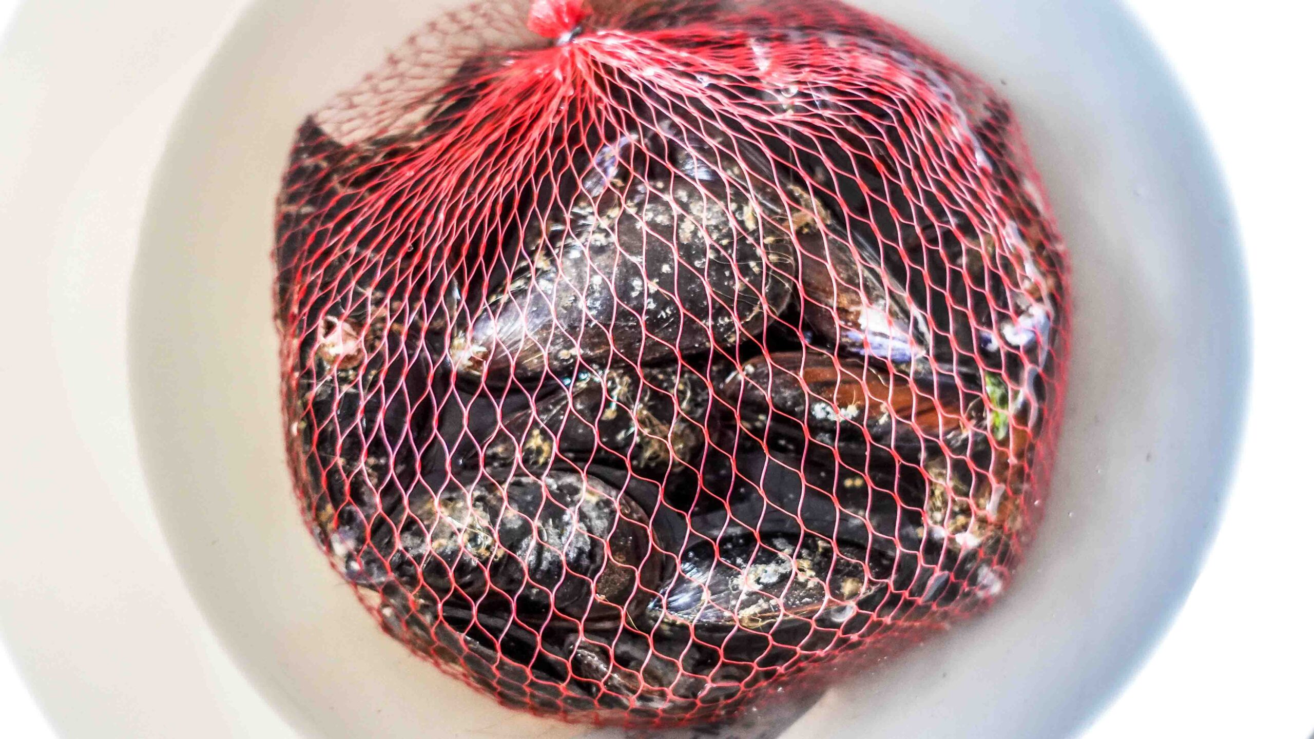 Fresh mussels in a bag