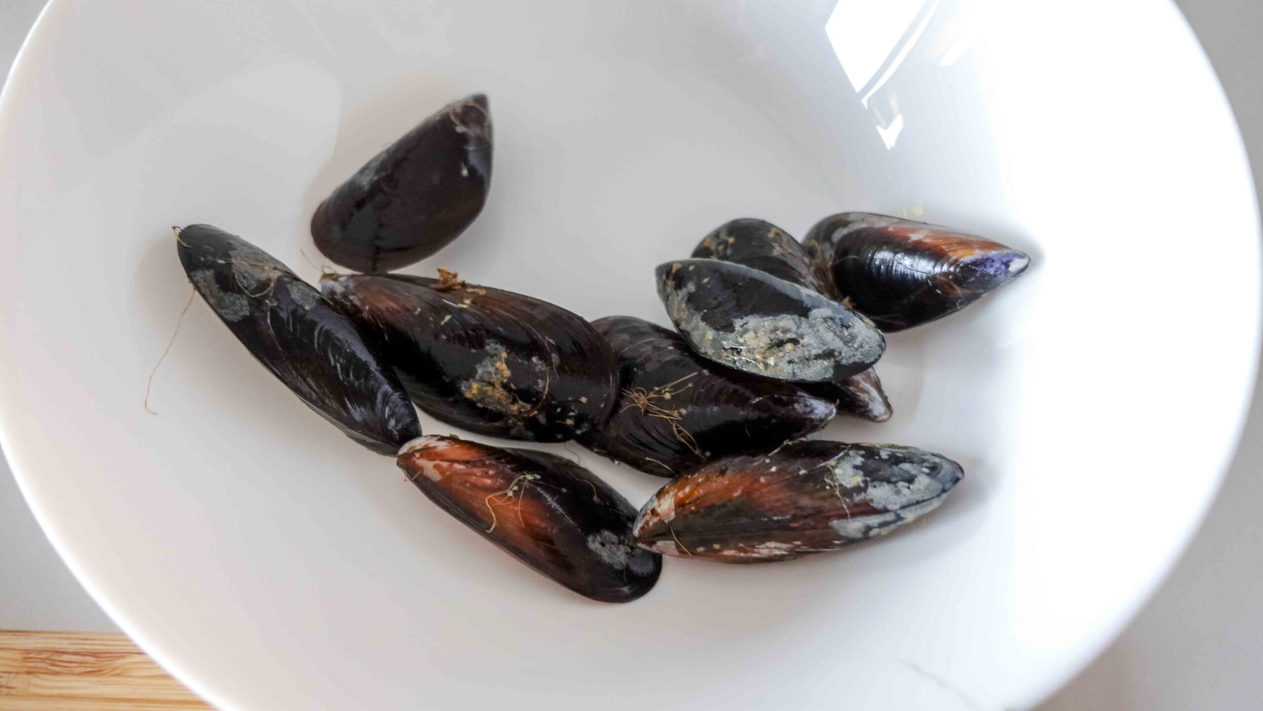 Washed mussels in a bowl