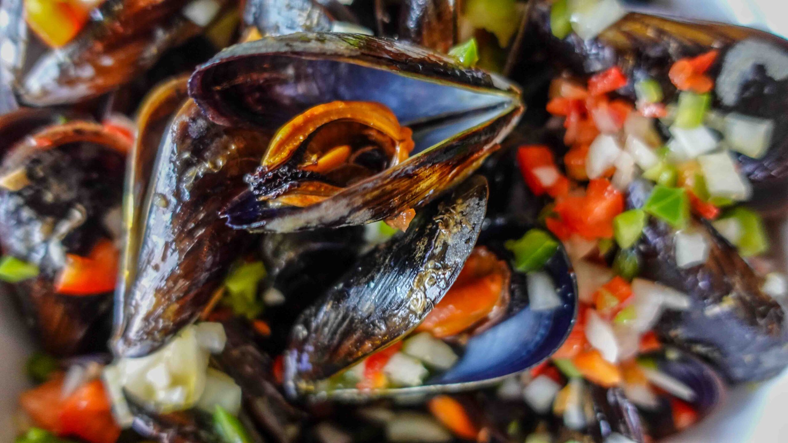 Portuguese Style mussels with salsa 