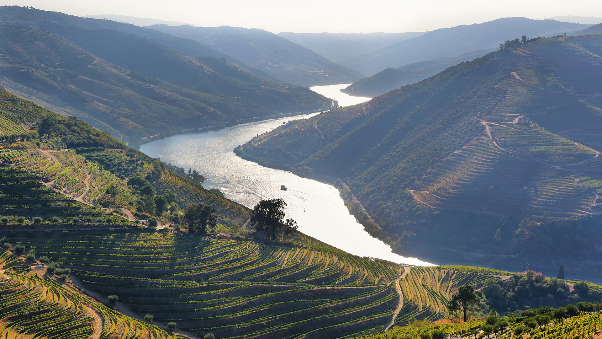 The wine region of the Douro valley in Portugal
